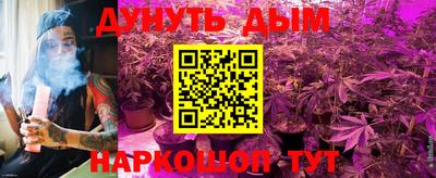 гидра Шебекино