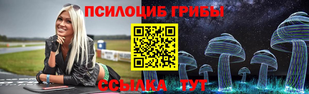 Луховицы  Псилоцибиновые грибы мухоморы  Псилоцибиновые грибы Psilocybe  закладка  Вход с VPN 